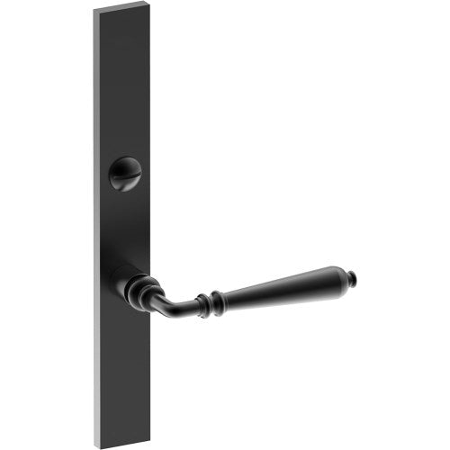 ELEGANTE Door Handle on B02 EXTERNAL Australian Standard Backplate with Emergency Release, Concealed Fixing (Half Set) 64mm CTC in Black Teflon