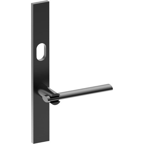 PRONTO Door Handle on B02 EXTERNAL Australian Standard Backplate with Cylinder Hole, Concealed Fixing (Half Set) 64mm CTC in Black Teflon