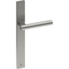RIENZA Door Handle on B02 INTERNAL European Standard Backplate, Visible Fixing (Half Set)  in Satin Stainless