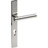 RIENZA Door Handle on B02 EXTERNAL European Standard Backplate with Cylinder Hole, Concealed Fixing (Half Set) 85mm CTC in Polished Stainless