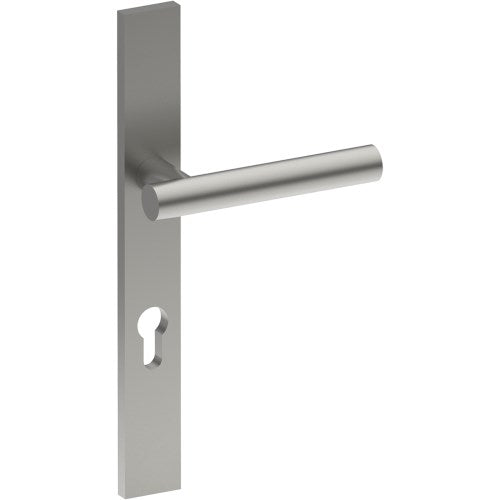 RIENZA Door Handle on B02 EXTERNAL European Standard Backplate with Cylinder Hole, Concealed Fixing (Half Set) 85mm CTC in Satin Stainless