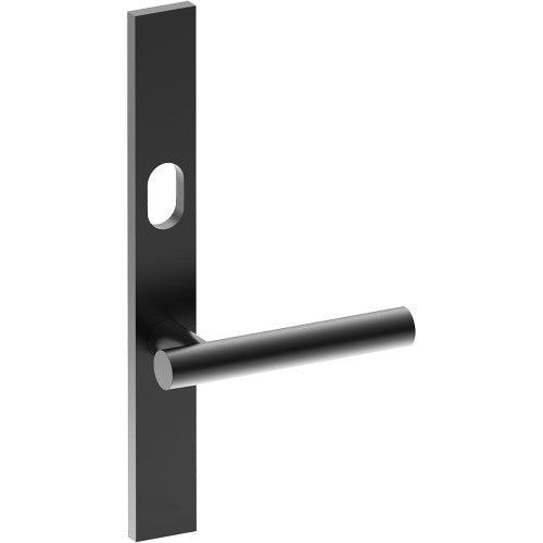 RIENZA Door Handle on B02 EXTERNAL Australian Standard Backplate with Cylinder Hole, Concealed Fixing (Half Set) 64mm CTC in Black Teflon