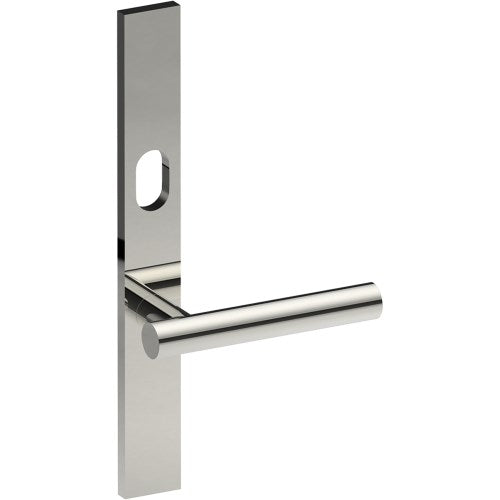 RIENZA Door Handle on B02 EXTERNAL Australian Standard Backplate with Cylinder Hole, Concealed Fixing (Half Set) 64mm CTC in Polished Stainless