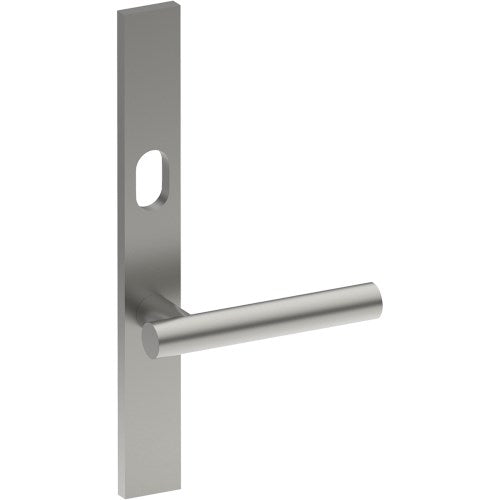 RIENZA Door Handle on B02 EXTERNAL Australian Standard Backplate with Cylinder Hole, Concealed Fixing (Half Set) 64mm CTC in Satin Stainless
