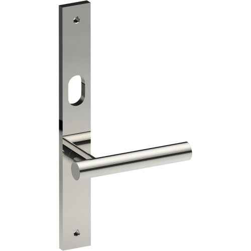 RIENZA Door Handle on B02 INTERNAL Australian Standard Backplate with Cylinder Hole, Visible Fixing (Half Set) 64mm CTC in Polished Stainless