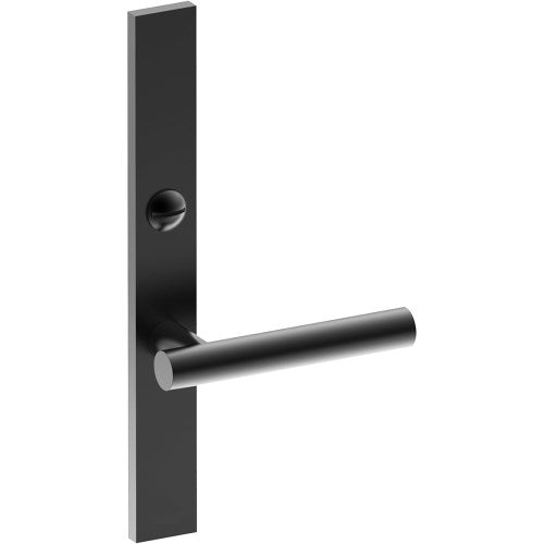 RIENZA Door Handle on B02 EXTERNAL Australian Standard Backplate with Emergency Release, Concealed Fixing (Half Set) 64mm CTC in Black Teflon