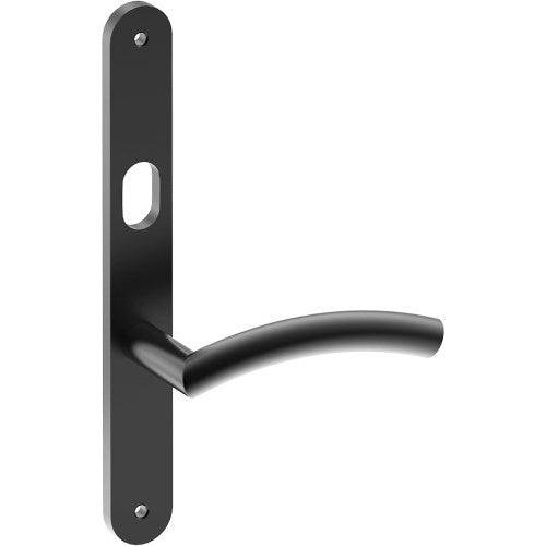 TRIESTE Door Handle on B01 INTERNAL Australian Standard Backplate with Cylinder Hole, Visible Fixing (Half Set) 64mm CTC in Black Teflon