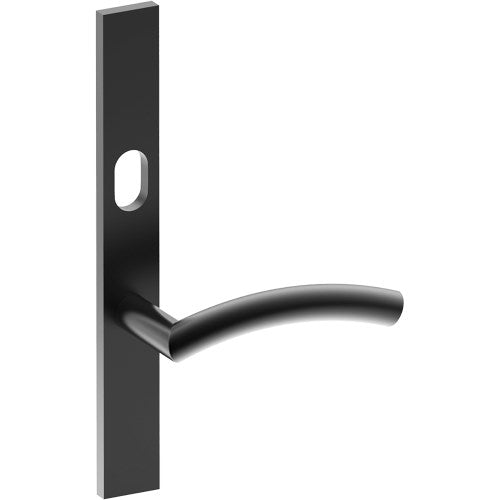 TRIESTE Door Handle on B02 EXTERNAL Australian Standard Backplate with Cylinder Hole, Concealed Fixing (Half Set) 64mm CTC in Black Teflon