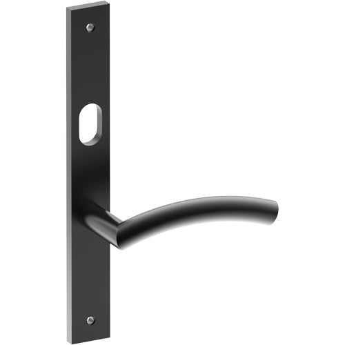 TRIESTE Door Handle on B02 INTERNAL Australian Standard Backplate with Cylinder Hole, Visible Fixing (Half Set) 64mm CTC in Black Teflon