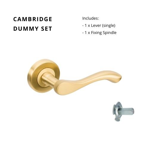 Cambridge Dummy - Right Hand in Satin Brass