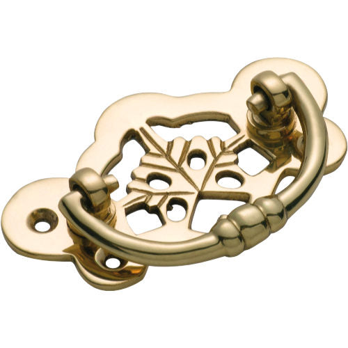 Cabinet Pull Handle Maple Leaf Polished Brass H40xW70mm in Polished Brass