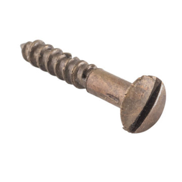 Tradco Domed Head Screws - Antique Brass / L19mm 5 Gauge in Antique Brass