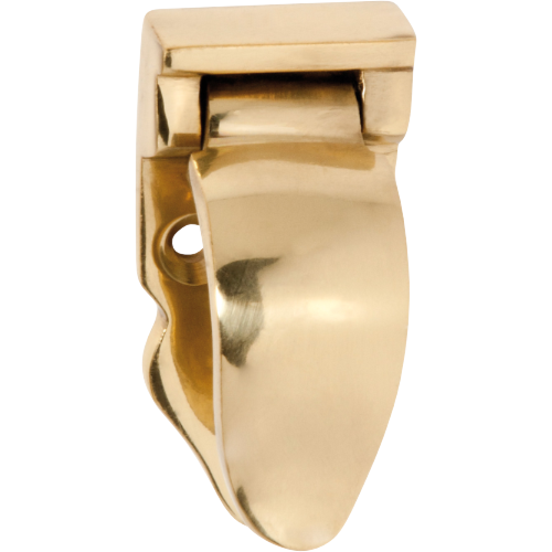 Sash Lift Hinged Polished Brass H54xW24xP20mm in Polished Brass